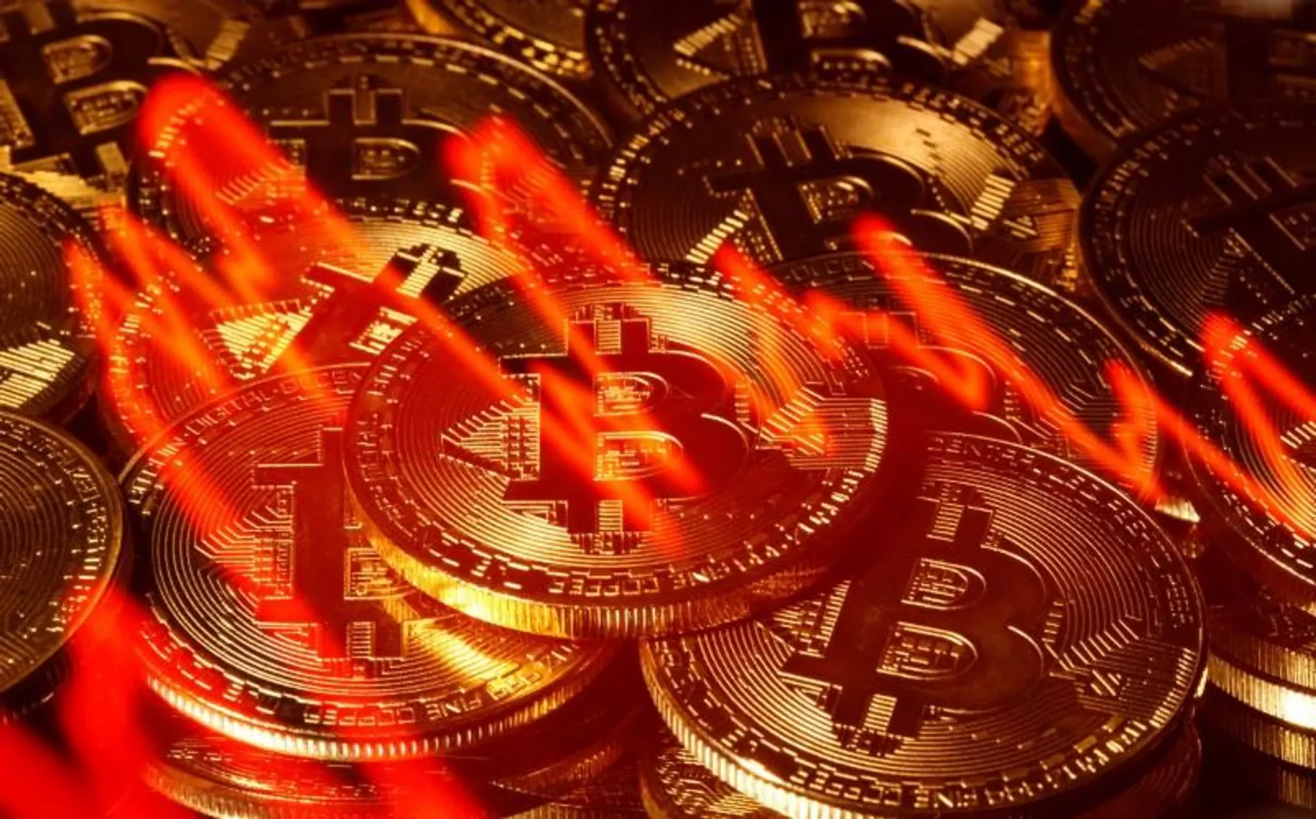 criptomonedas