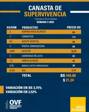 Canasta de Supervivencia enero 3