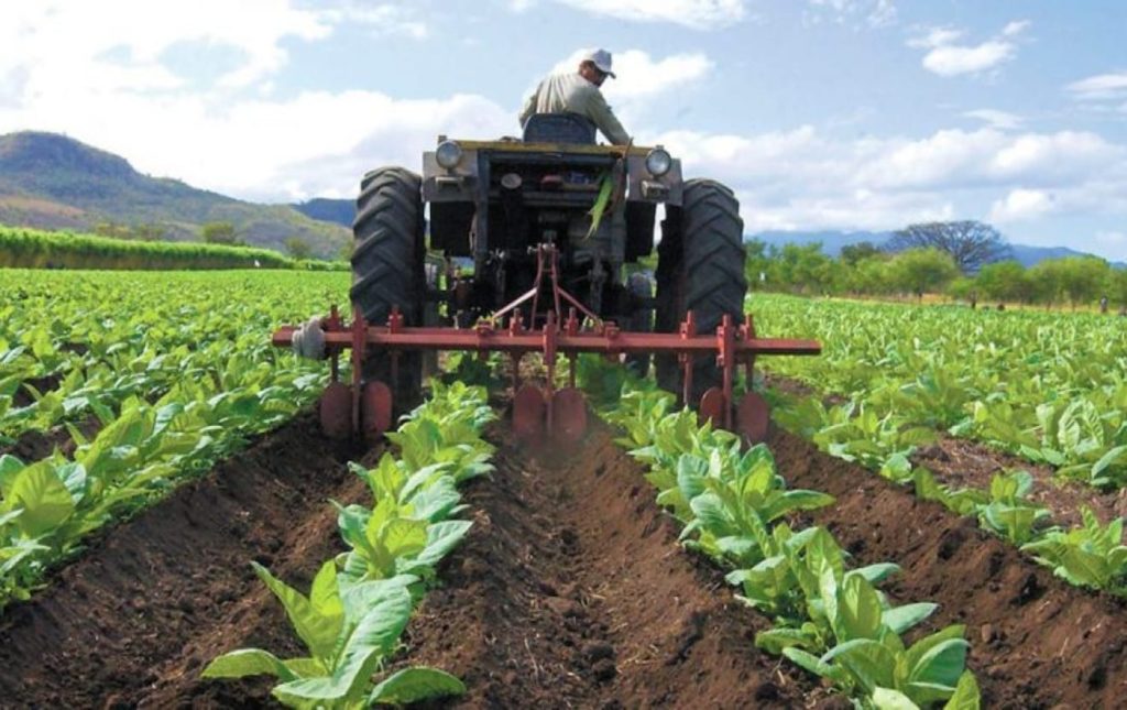 Maduro solicitó a productores destinar 20% de sus mercancías a la exportación