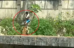 Imágenes sensibles: el momento en que una leona atacó a un joven de 19 años y lo mató